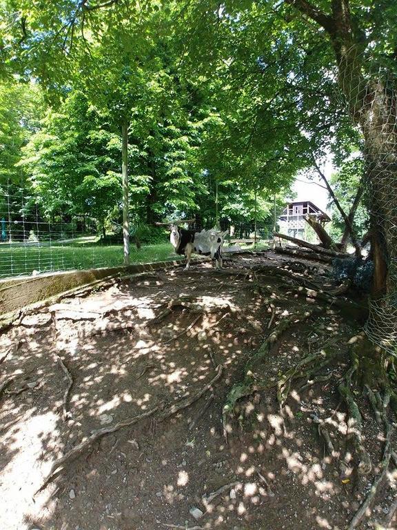 Guest House Sterk Нова-Горица Экстерьер фото